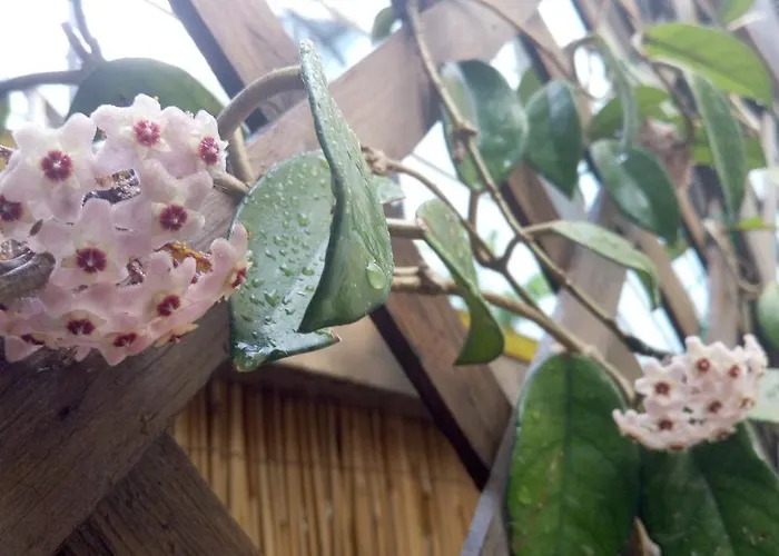 I Tre Scalini 3* Stintino